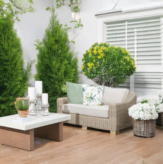 Capri Beige Outdoor Wicker 2-Seater Sofa – Acacia Wood Legs & Weatherproof Cushions