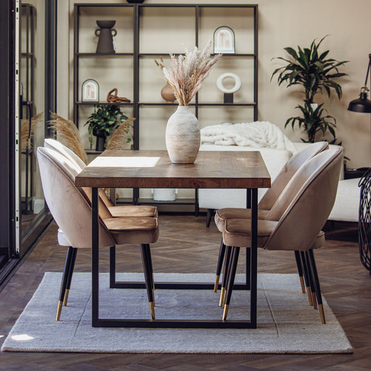 Bjorn Champagne Velvet Dining Chairs – Scandinavian Modern with Gold Tip Legs