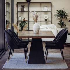 Bjorn Black Velvet Dining Chairs | Scandinavian Modern with Gold Tip Legs