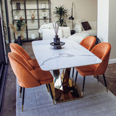 Bjorn Rust Orange Velvet Dining Chairs – Scandinavian Modern with Gold Tip Legs