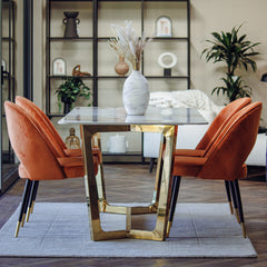 Bjorn Rust Orange Velvet Dining Chairs – Scandinavian Modern with Gold Tip Legs