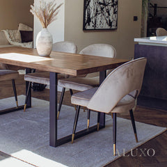 Bjorn Champagne Velvet Dining Chairs | Scandinavian Modern with Gold Tip Legs