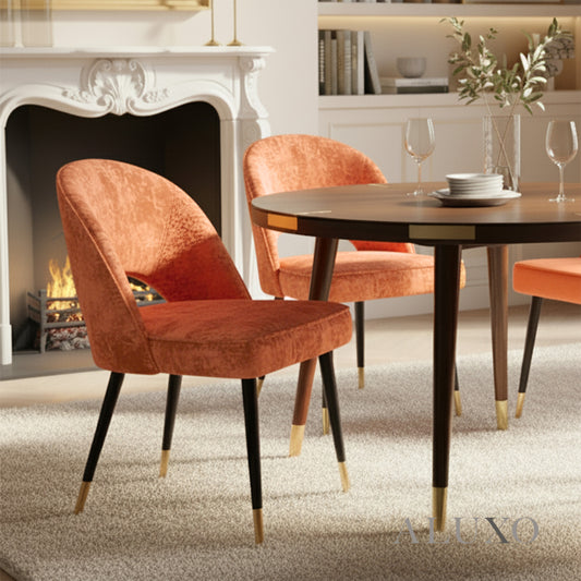 Bjorn Rust Orange Velvet Dining Chairs | Scandinavian Modern with Gold Tip Legs